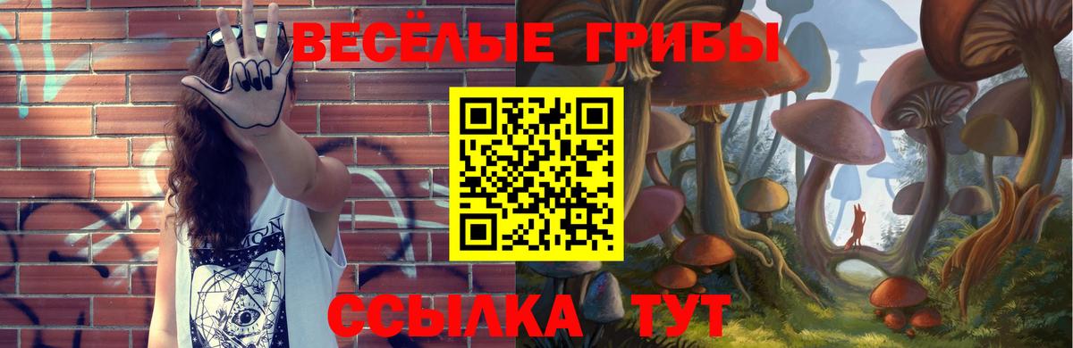 Псилоцибиновые грибы MAGIC MUSHROOMS Белово
